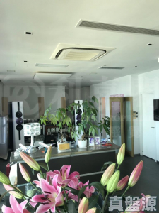 藍天海岸 1期 1座 - 28NTS – 香港北部都會區