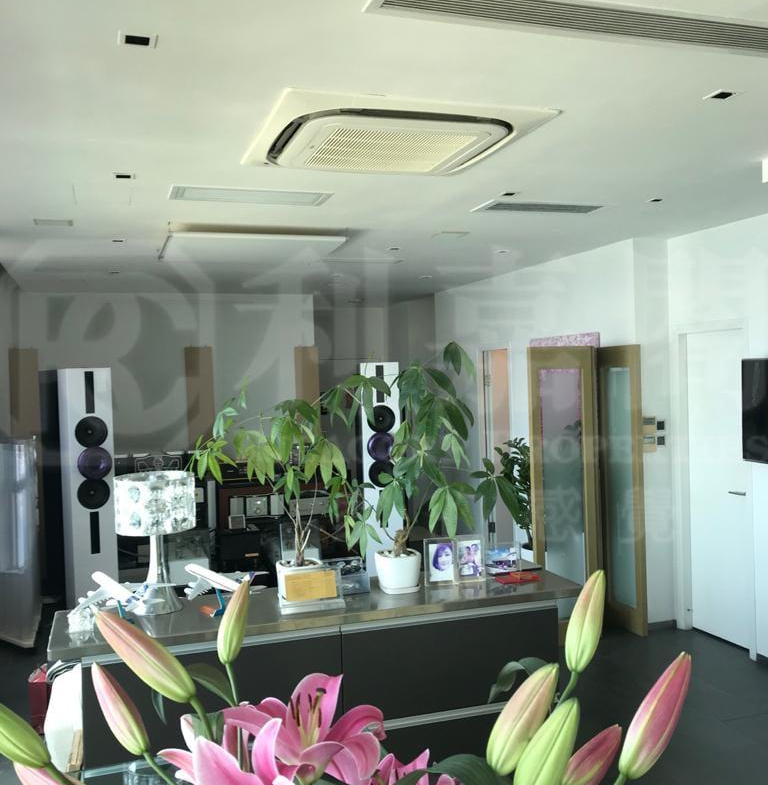 藍天海岸 1期 1座 - 28NTS – 香港北部都會區