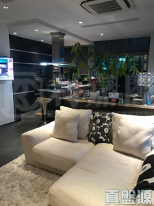 藍天海岸 1期 1座 - 28NTS – 香港北部都會區