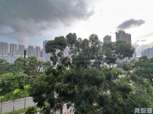 WETLAND SEASONS PARK 1期 23座 - 28NTS – 香港北部都會區