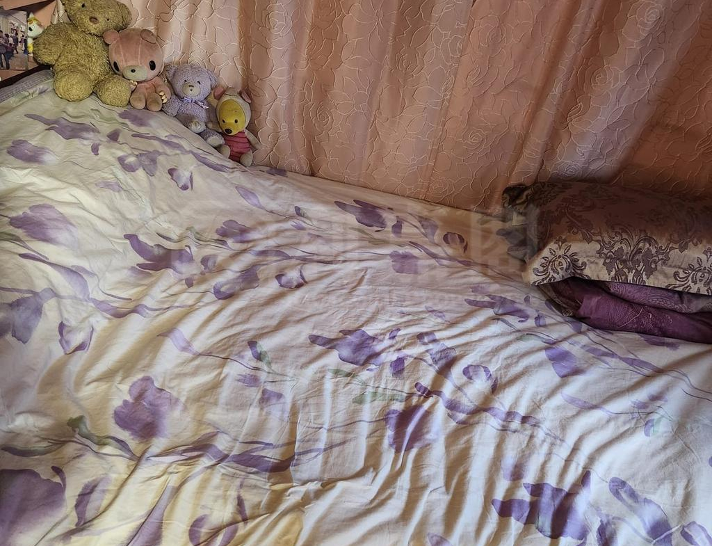 好旺洋樓 - 28NTS – 香港北部都會區