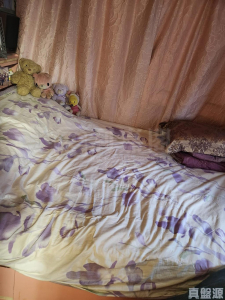 好旺洋樓 - 28NTS – 香港北部都會區