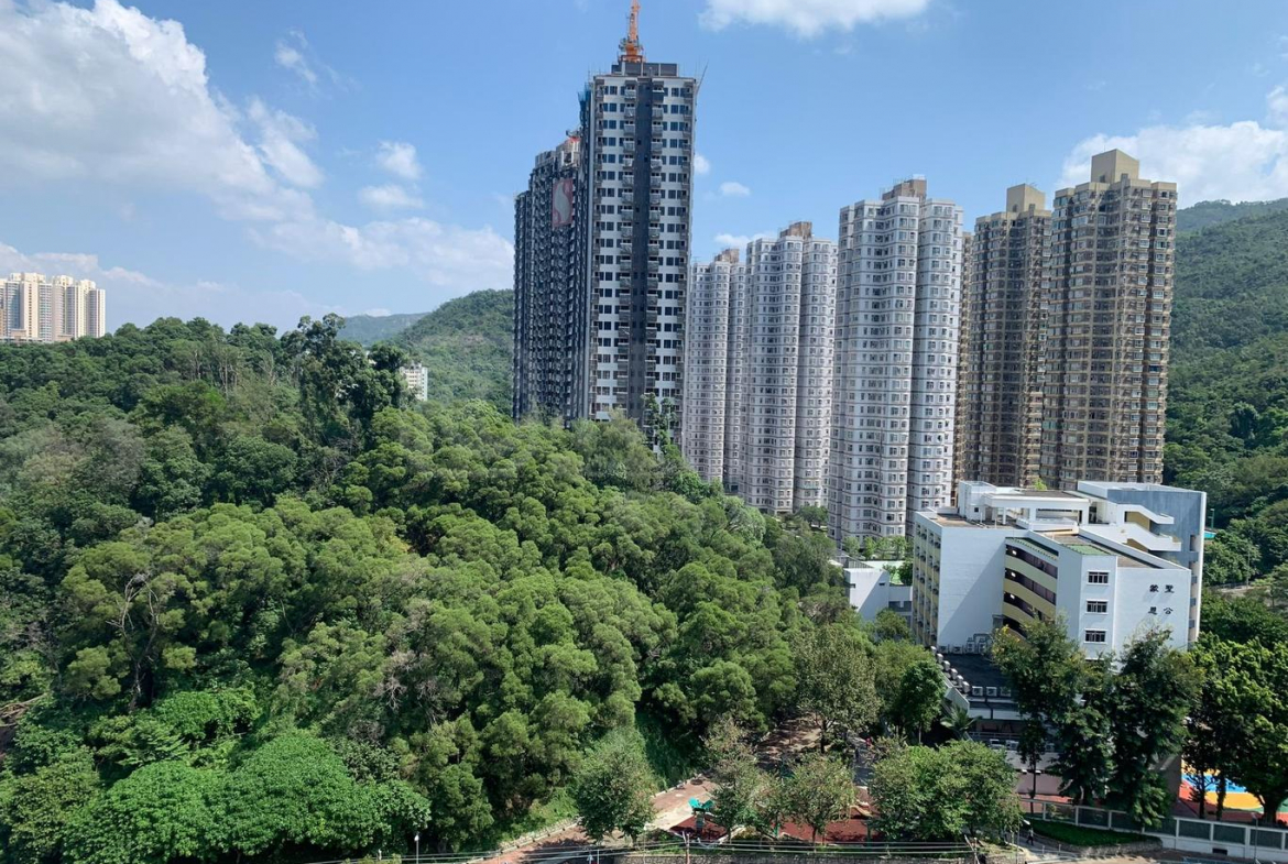 菁雋 - 28NTS – 香港北部都會區