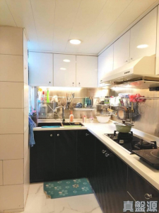 金莎花園 - 28NTS – 香港北部都會區