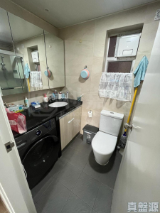 愉景新城 3期 10座 - 28NTS – 香港北部都會區