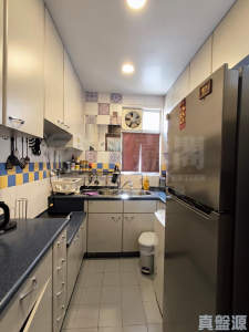 天頌苑 頌恩閣 (J座) - 28NTS – 香港北部都會區