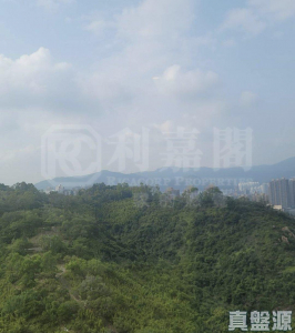 明翹匯 2A座 - 28NTS – 香港北部都會區