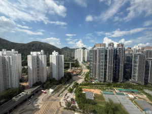 盈豐園 1座 - 28NTS – 香港北部都會區