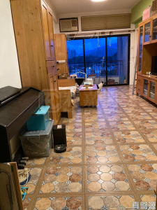 金碧花園 9座 - 28NTS – 香港北部都會區