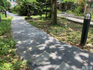 金碧花園 9座 - 28NTS – 香港北部都會區