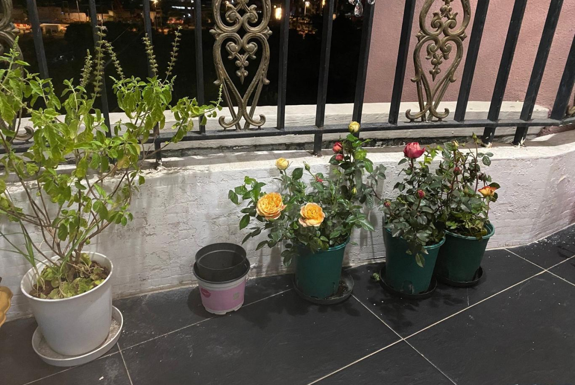 金碧花園 9座 - 28NTS – 香港北部都會區