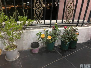 金碧花園 9座 - 28NTS – 香港北部都會區