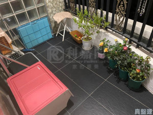 金碧花園 9座 - 28NTS – 香港北部都會區