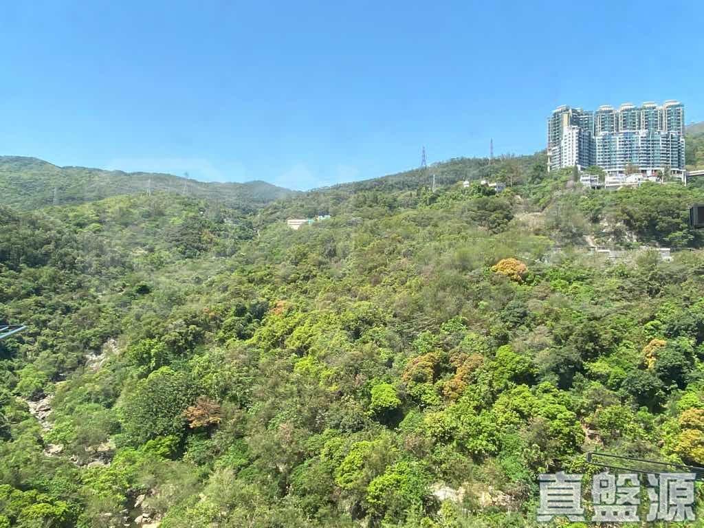 荃灣中心 南寧樓 (16座) - 28NTS – 香港北部都會區