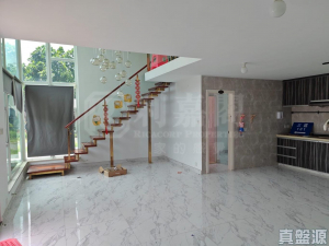 掃管笏村 第一區 - 28NTS – 香港北部都會區