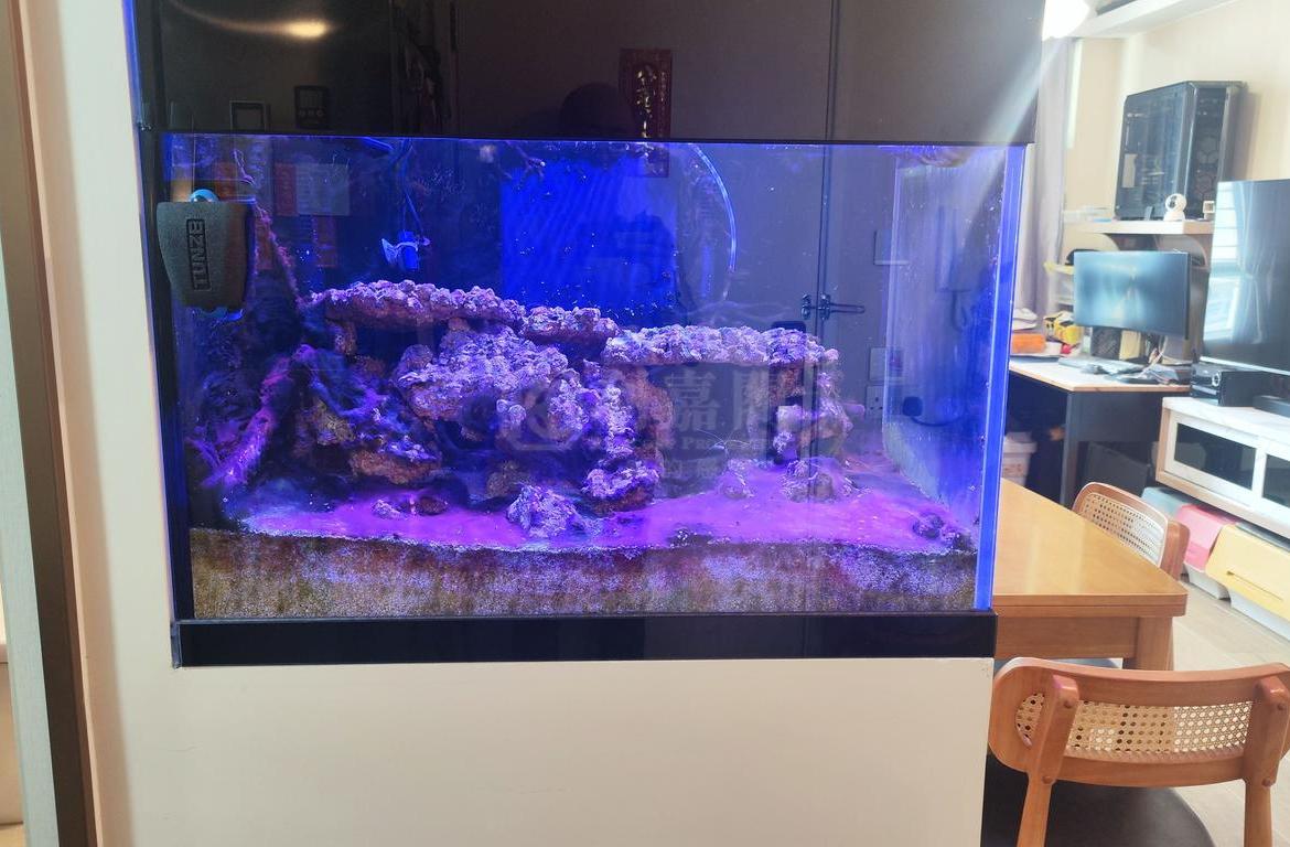 裕泰苑 A座 (裕玥閣) - 28NTS – 香港北部都會區