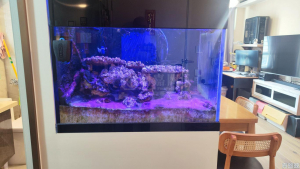 裕泰苑 A座 (裕玥閣) - 28NTS – 香港北部都會區