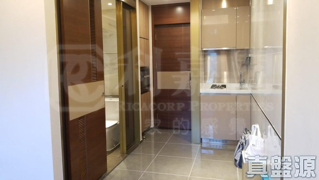 緹岸 1期 1座 - 28NTS – 香港北部都會區