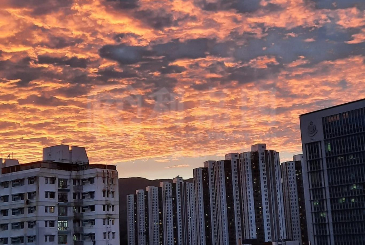 德大閣 - 28NTS – 香港北部都會區