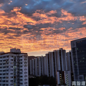 德大閣 - 28NTS – 香港北部都會區