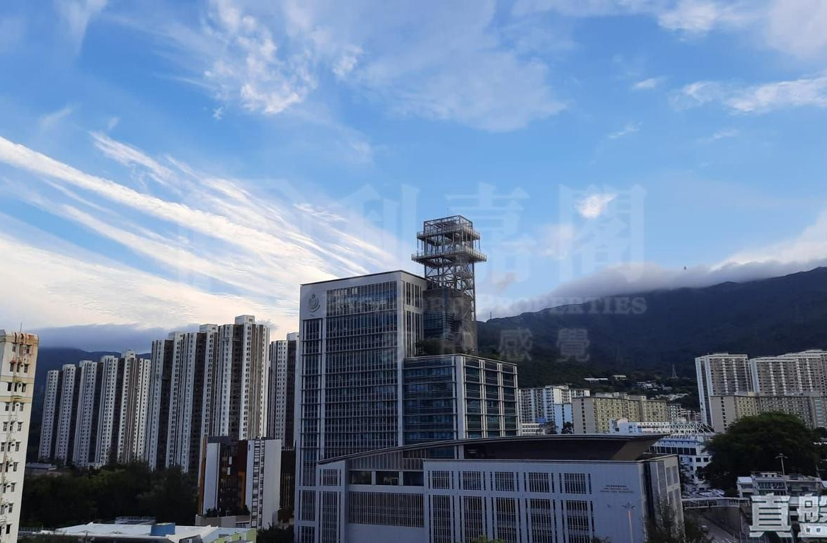 德大閣 - 28NTS – 香港北部都會區