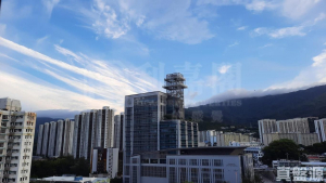 德大閣 - 28NTS – 香港北部都會區