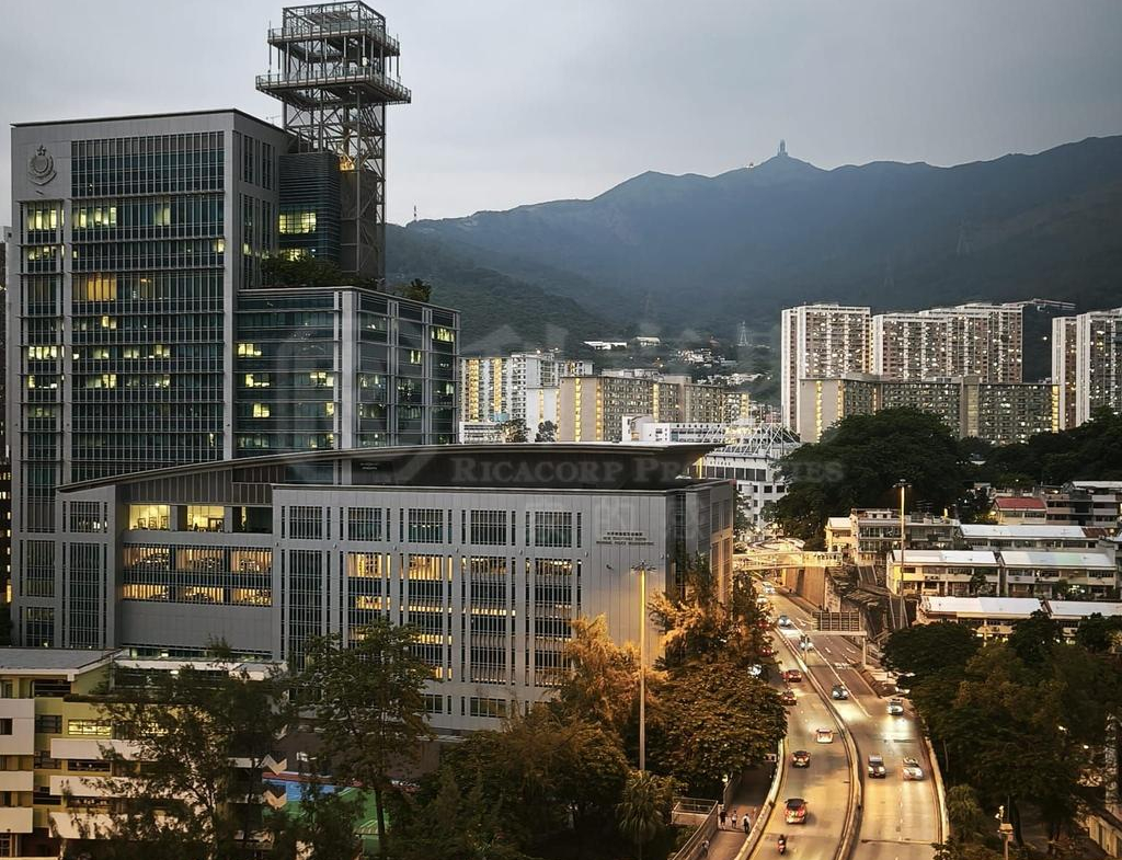 德大閣 - 28NTS – 香港北部都會區