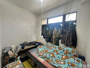 祈德尊新邨 B座 - 28NTS – 香港北部都會區