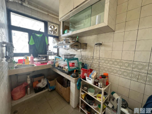 祈德尊新邨 B座 - 28NTS – 香港北部都會區