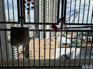 祈德尊新邨 B座 - 28NTS – 香港北部都會區