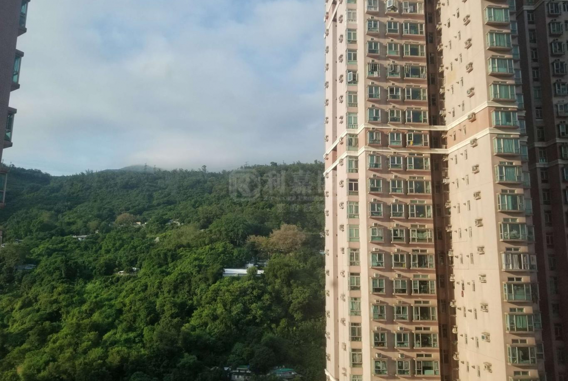 愉景新城 1期 3座 - 28NTS – 香港北部都會區