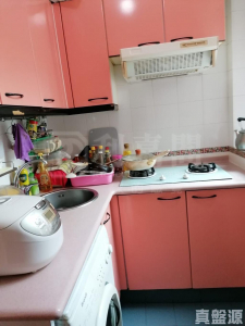 愉景新城 1期 1座 - 28NTS – 香港北部都會區