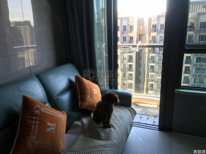 WETLAND SEASONS PARK 1期 10座 - 28NTS – 香港北部都會區