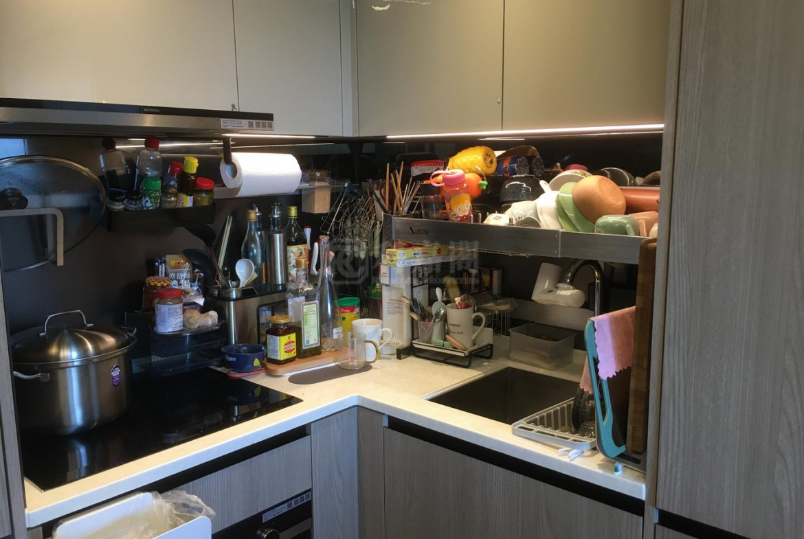 WETLAND SEASONS PARK 1期 10座 - 28NTS – 香港北部都會區