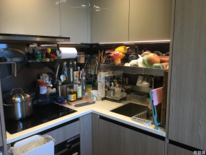 WETLAND SEASONS PARK 1期 10座 - 28NTS – 香港北部都會區