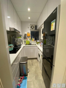 天頌苑 頌水閣 (D座) - 28NTS – 香港北部都會區