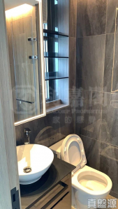 蝶翠峰 5期 尚悅‧嶺 1座 - 28NTS – 香港北部都會區