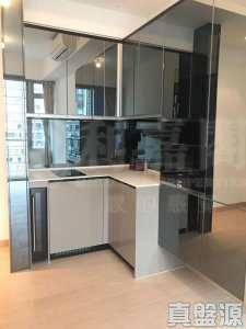 東環 2期 2B座 - 28NTS – 香港北部都會區