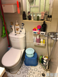 天麗苑 - 28NTS – 香港北部都會區