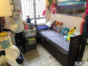 天麗苑 - 28NTS – 香港北部都會區