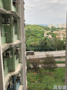 天麗苑 - 28NTS – 香港北部都會區