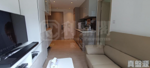 WETLAND SEASONS PARK 2期 2座 - 28NTS – 香港北部都會區