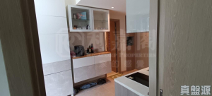 WETLAND SEASONS PARK 2期 2座 - 28NTS – 香港北部都會區