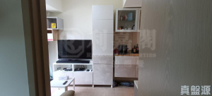 WETLAND SEASONS PARK 2期 2座 - 28NTS – 香港北部都會區