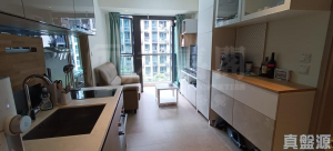 WETLAND SEASONS PARK 2期 2座 - 28NTS – 香港北部都會區