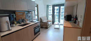 WETLAND SEASONS PARK 2期 2座 - 28NTS – 香港北部都會區