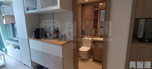 WETLAND SEASONS PARK 2期 2座 - 28NTS – 香港北部都會區