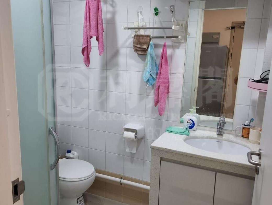 屏欣苑 B座 (屏彥閣) - 28NTS – 香港北部都會區