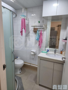 屏欣苑 B座 (屏彥閣) - 28NTS – 香港北部都會區