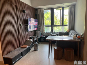 WETLAND SEASONS PARK 3期 7座 - 28NTS – 香港北部都會區